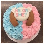 Baby Reveal Cake
